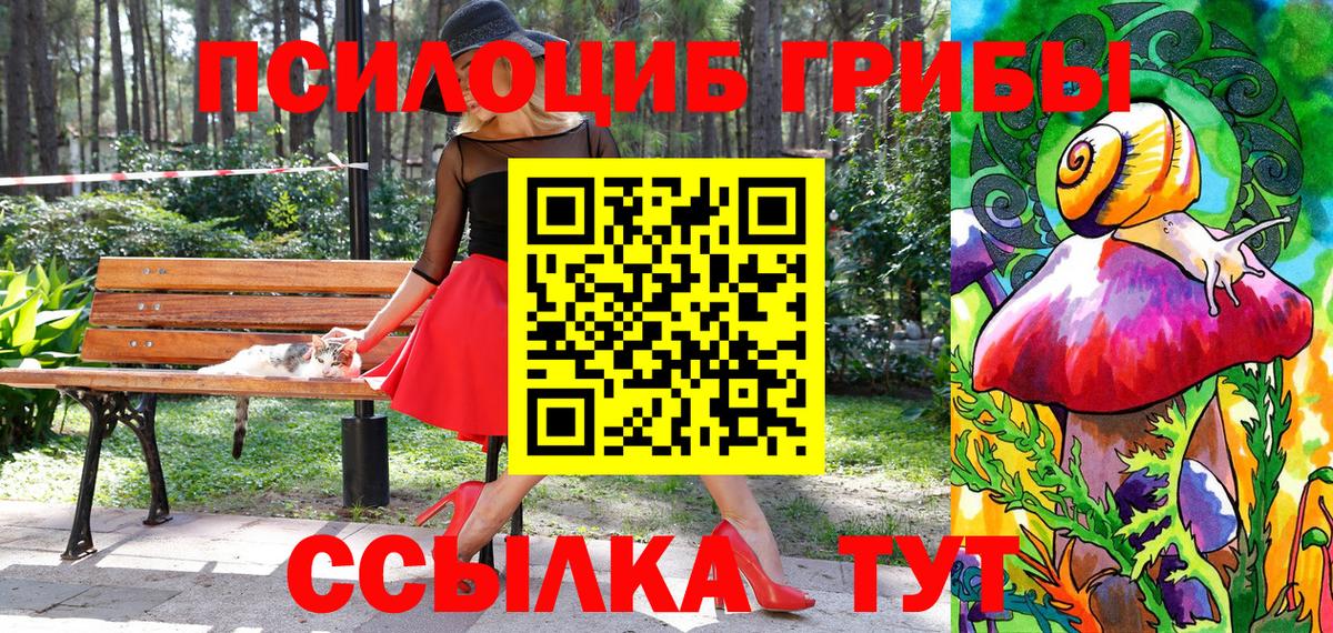 Псилоцибиновые грибы GOLDEN TEACHER  где купить наркоту  Вход с VPN  Наро-Фоминск  Галлюциногенные грибы прущие грибы 